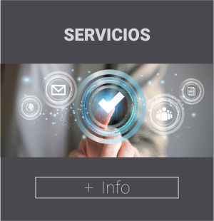 Cuadradito web SERVICIOS foto servicios cateix