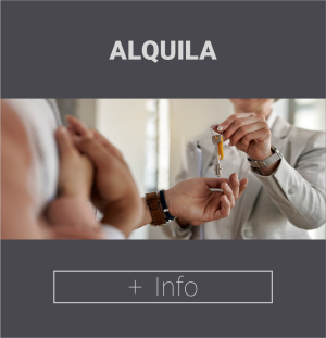 Cuadradito web alquila foto alquila cateix